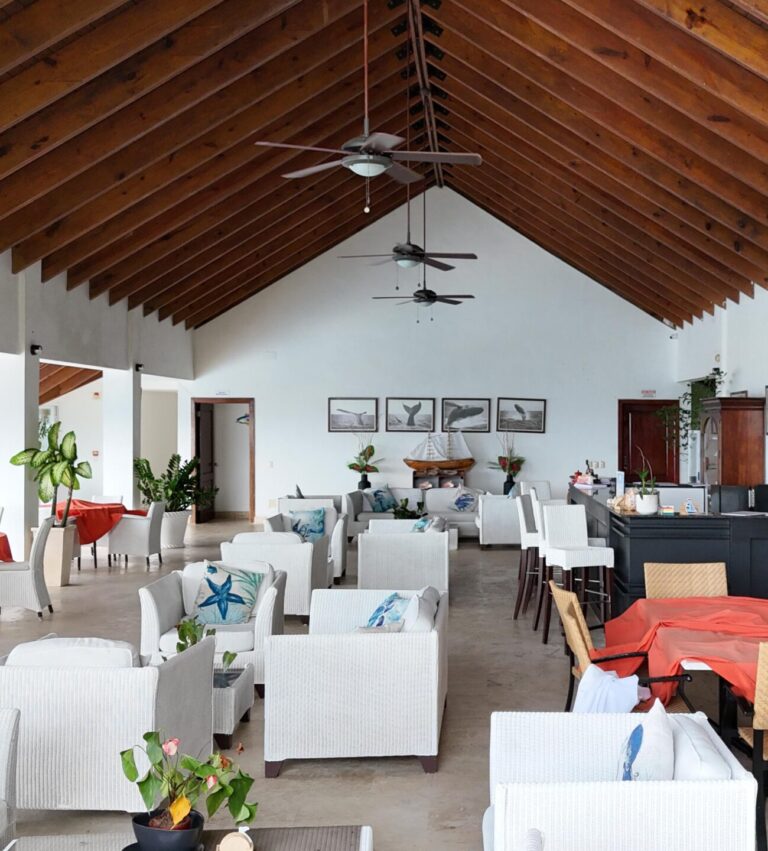 WhatsApp Image 2025-06-22 at 7.45.04 PM